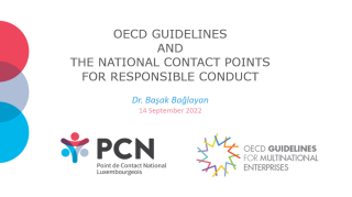 Séminaire sur les principes directeurs de l'OCDE à l'intention des entreprises multinationales et des points de contact nationaux